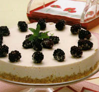 beyaz_cikolatali dutlu-3ab.jpg